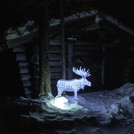 Bear Yllaes * Yllasjarvi